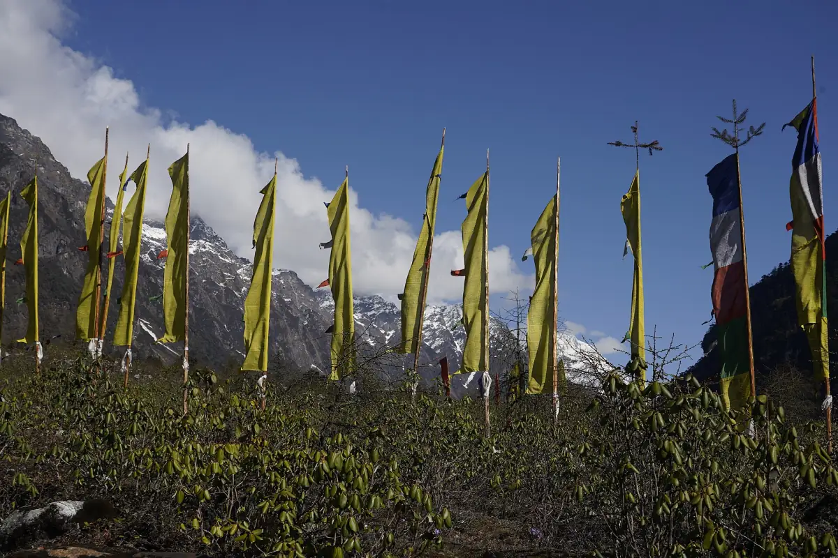 Prayer flags in Yumthang Valley with snow-covered peaks behind